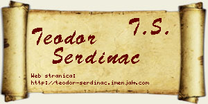 Teodor Serdinac vizit kartica